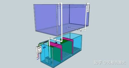 底濾魚缸虹吸的工作原理是什么呢（底濾魚缸的工作原理）