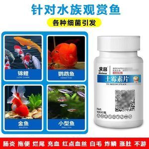 觀賞魚爛尾爛鰭爛鱗用土霉素放魚缸可以嗎（觀賞魚出現(xiàn)爛尾、爛鰭、爛鱗等癥狀怎么辦） 魚缸百科 第4張