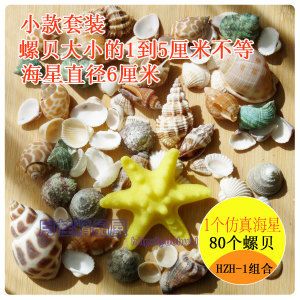 海星魚(yú)缸官網(wǎng)旗艦店（海星魚(yú)缸官網(wǎng)旗艦店是海星魚(yú)缸官網(wǎng)旗艦店的售后服務(wù)）