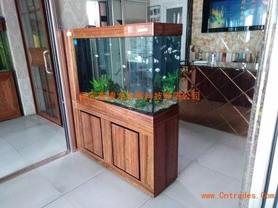 定制玻璃魚(yú)缸多少錢(qián)（定制玻璃魚(yú)缸價(jià)格） 魚(yú)缸百科 第4張