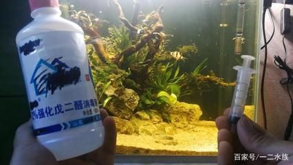 觀賞魚缸過濾器怎么用的（如何自制魚缸過濾器）