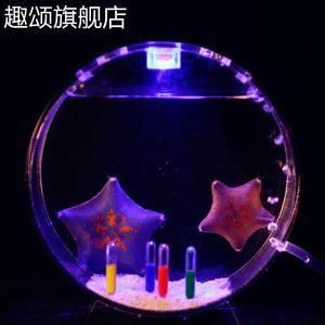 海星活體海水魚缸（養(yǎng)護(hù)海星活體海水魚缸需要注意什么？）