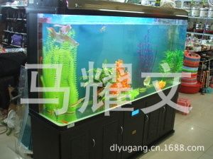 過濾比較好的魚缸可以不換水嗎為什么（魚缸可以不換水嗎？） 魚缸百科 第1張