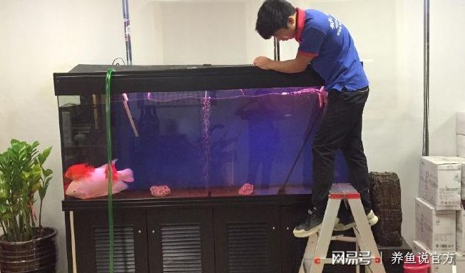 過濾比較好的魚缸可以不換水嗎為什么（魚缸可以不換水嗎？） 魚缸百科 第3張