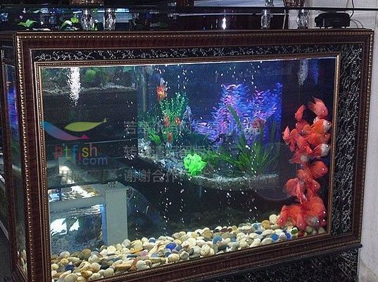 廣興水族魚缸廠（廣興水族魚缸廠30篇智腦大模型提煉5個關(guān)鍵詞） 魚缸百科 第1張