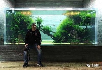 給魚(yú)缸造景叫什么職業(yè)（探索水族造景的世界大賽水族造景師或生態(tài)造景師或生態(tài)造景師） 魚(yú)缸百科 第1張