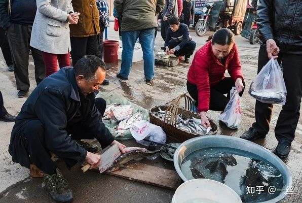 海城有賣魚缸的嗎多少錢一條魚（海城魚缸市場的價(jià)格范圍） 魚缸百科 第1張