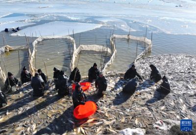 海沙可以放魚缸里養(yǎng)魚嗎（海沙可以放在魚缸里養(yǎng)魚嗎？）