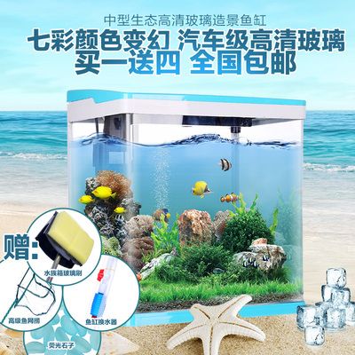 觀賞魚缸過濾器價格（觀賞魚缸過濾器價格信息：魚缸過濾器價格信息）