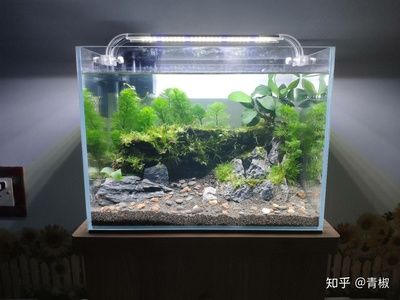 漢江魚缸官網(wǎng)（nhj新漢江超白魚缸廠）