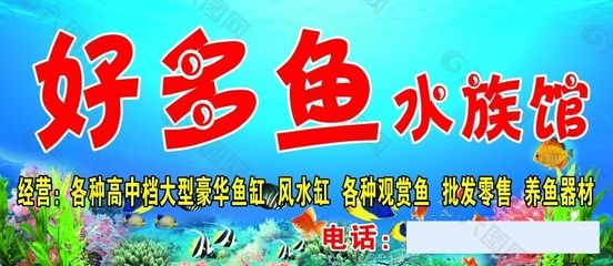 觀賞魚店魚缸設(shè)計效果圖（尋找觀賞魚店魚缸設(shè)計效果圖和設(shè)計建議） 魚缸百科 第3張