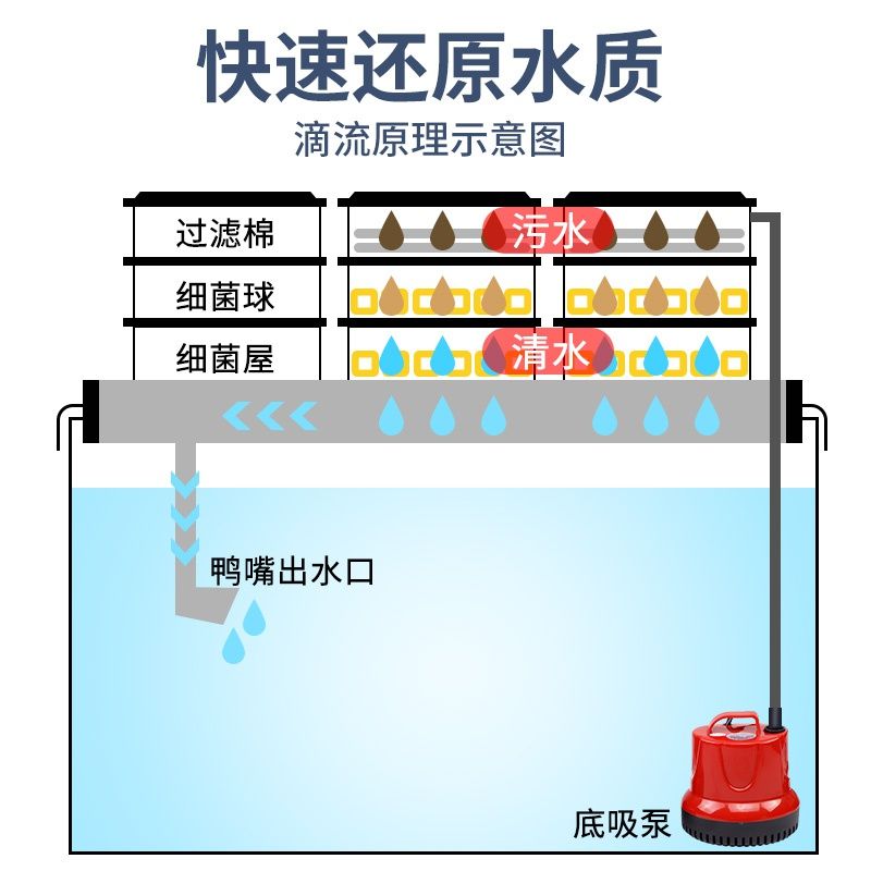 過濾好的魚缸可以不換水嗎為什么（水族箱生態(tài)系統(tǒng)揭秘） 魚缸百科 第2張