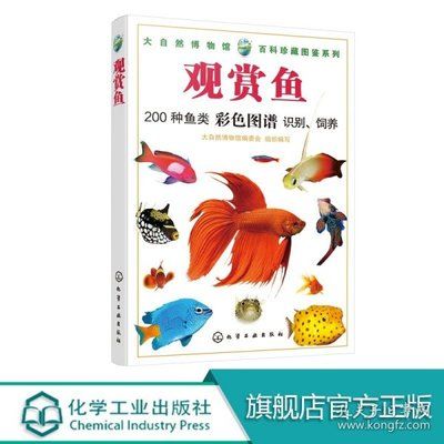 淡水觀賞魚圖鑒（常見的淡水觀賞魚品其相關(guān)信息） 飛鳳魚 第2張