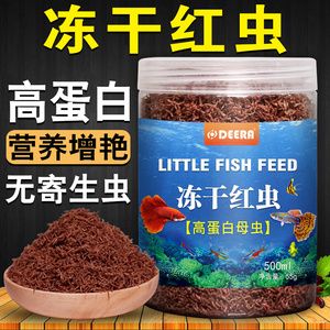 大的觀賞魚可以喂豐年蝦卵嗎（大的觀賞魚可以喂豐年蝦卵但需要注意以下幾點） 印尼虎苗 第3張