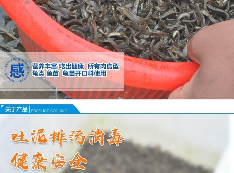 觀賞魚(yú)飼料釣魚(yú)技巧（觀賞魚(yú)飼料自制秘籍讓你的觀賞魚(yú)享受到最健康的飲食） 野生埃及神仙魚(yú) 第4張