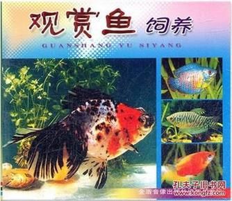 觀賞魚的養(yǎng)殖技術(shù)（《觀賞魚養(yǎng)殖技術(shù)》） 銀龍魚苗 第1張