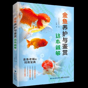 觀賞魚(yú)入門（觀賞魚(yú)養(yǎng)護(hù)技巧） 南美異形觀賞魚(yú) 第1張