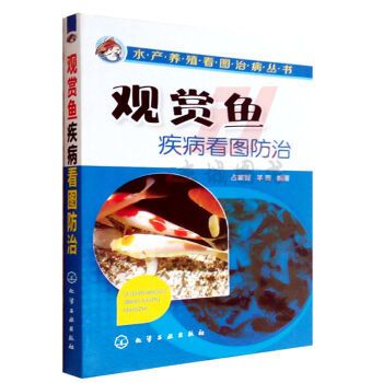 觀賞魚(yú)入門（觀賞魚(yú)養(yǎng)護(hù)技巧） 南美異形觀賞魚(yú) 第4張