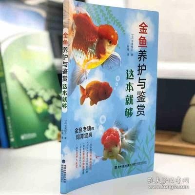 觀賞魚(yú)入門（觀賞魚(yú)養(yǎng)護(hù)技巧） 南美異形觀賞魚(yú) 第3張