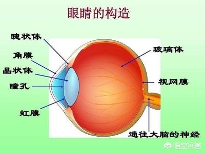 玻璃體渾濁用什么滴眼液（氨碘肽滴眼液治療玻璃體渾濁的滴眼液治療方法是什么） 可麗愛魚缸 第1張