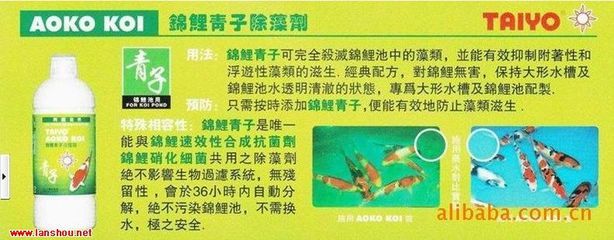 除藻劑的使用方法（除藻劑使用方法和注意事項(xiàng)） 其他益生菌 第2張