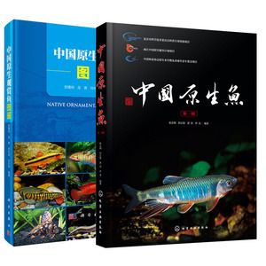 觀賞魚種類圖鑒（原生觀賞魚的繁殖與遺傳學） 定時器/自控系統(tǒng) 第4張