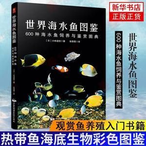 海魚(yú)觀賞魚(yú)怎么樣養(yǎng)（海水觀賞魚(yú)的飼養(yǎng)技術(shù)）