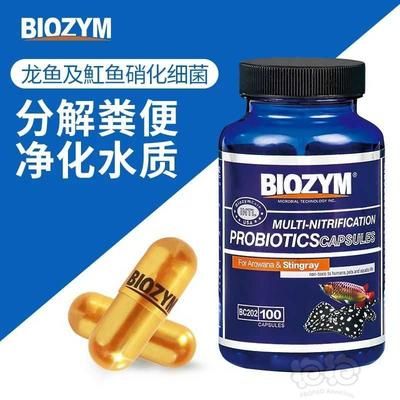 百因美硝化細(xì)菌膠囊（百因美硝化細(xì)菌膠囊使用方法詳細(xì)解釋百因美硝化細(xì)菌膠囊使用方法） 黃金貓魚百科 第2張