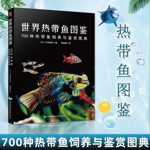 觀賞魚(yú)海魚(yú)怎么養(yǎng)（養(yǎng)觀賞魚(yú)海魚(yú)的基本方法） 丹頂錦鯉魚(yú) 第4張