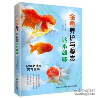 都有什么觀賞魚品種好養(yǎng)（觀賞魚的養(yǎng)護技巧）