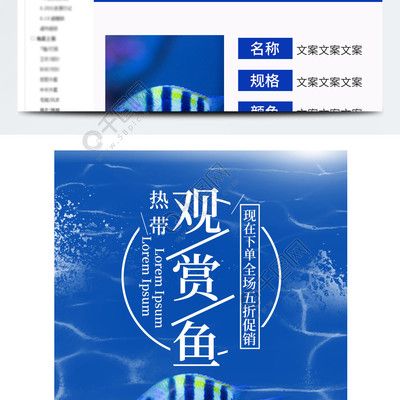 觀賞魚的文案短（觀賞魚文案短篇：水中的精靈，五彩斑斕，姿態(tài)各異） 過濾設(shè)備 第3張