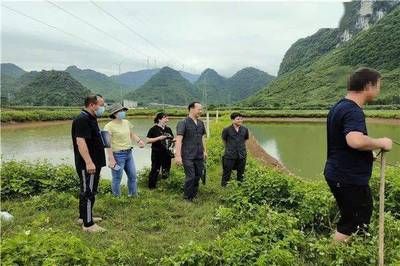 觀賞魚租賃合同范（觀賞魚租賃合同法律基礎(chǔ)） 紅龍魚魚糧飼料 第1張