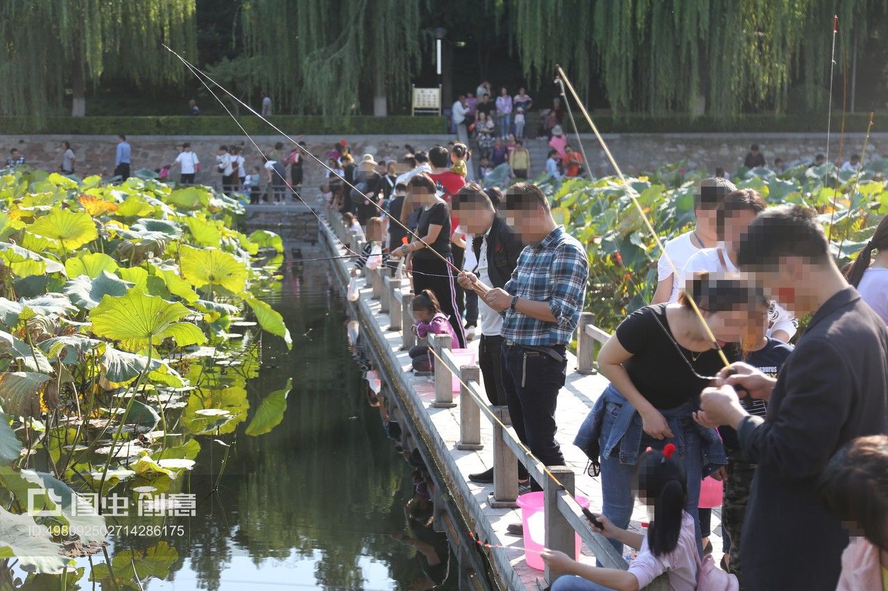 公園的觀賞魚可以釣走嗎視頻（公園釣魚的法律后果） 帝王迷宮魚 第3張