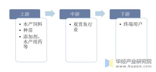 觀賞魚產(chǎn)業(yè)鏈（國際合作觀賞魚產(chǎn)業(yè)的發(fā)展趨勢） 元寶鯽 第2張