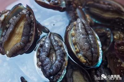 鮑魚(yú)為什么貴（鮑魚(yú)為什么這么貴？）