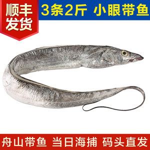 刀魚是帶魚嗎（刀魚和帶魚和帶魚的區(qū)別在西太平洋和印度洋和印度洋） 申古銀版魚 第2張