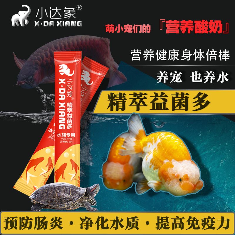 觀賞魚護(hù)理液品牌（如何選擇觀賞魚護(hù)理液） 巴卡雷龍魚 第4張