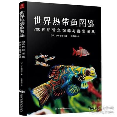 觀賞魚海魚怎么養(yǎng)活的快（養(yǎng)觀賞魚海魚的注意事項） 黑水素 第3張