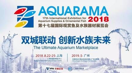 國際觀賞魚及水族器材展覽會（2017中國國際觀賞魚及水族器材展覽會） 一眉道人魚 第1張