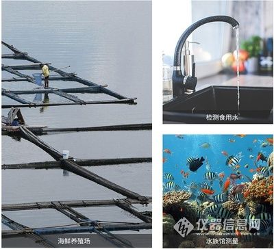 海水觀賞魚養(yǎng)殖基地（海水觀賞魚養(yǎng)殖基地是一個(gè)具有發(fā)展前景和經(jīng)濟(jì)效益的領(lǐng)域）