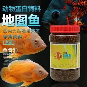 白色觀賞魚能喂增色飼料嗎有毒嗎視頻（白色觀賞魚可以喂增色飼料嗎） 鐵甲武士 第2張