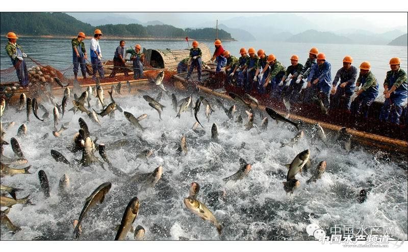 防水需要養(yǎng)水嗎（裝修后如何自我驗(yàn)收） 水族周邊 第4張