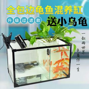 觀賞魚和食用魚魚混養(yǎng)（將觀賞魚和食用魚混養(yǎng)在同一魚缸中時有幾個關(guān)鍵因素需要考慮） 觀賞魚論壇 第1張