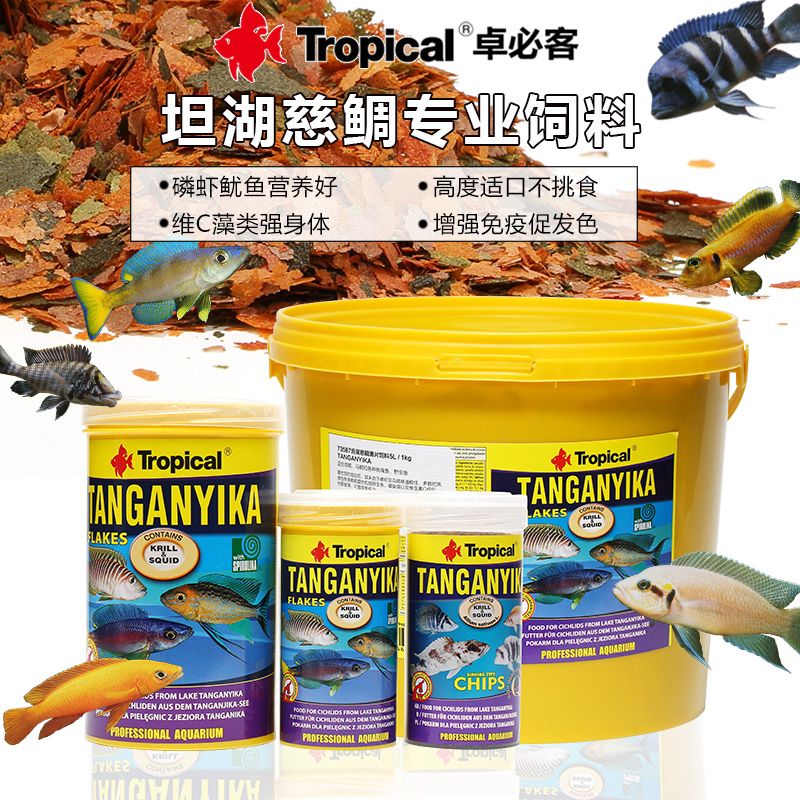 慈鯛魚飼料（如何選擇慈鯛魚飼料） 粗線銀版魚 第3張