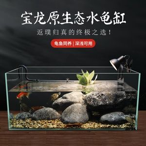 寶龍魚缸哪里生產(chǎn)（寶龍魚缸生產(chǎn)信息） 龍魚之家 第4張