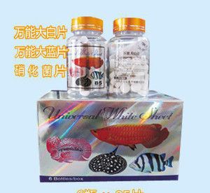 觀賞魚大白片怎么用的（大白片是一種用于治療觀賞魚疾病的使用與防范措施） 委內(nèi)瑞拉奧里諾三間魚 第3張