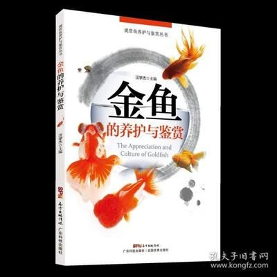 觀賞魚去哪買便宜又好養(yǎng)（新手如何選擇觀賞魚） 肺魚 第4張