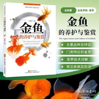 觀賞魚去哪買便宜又好養(yǎng)（新手如何選擇觀賞魚） 肺魚 第1張