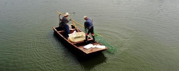 觀賞魚(yú)浮頭怎么救（觀賞魚(yú)浮頭急救處理方法） 水族主題相關(guān)