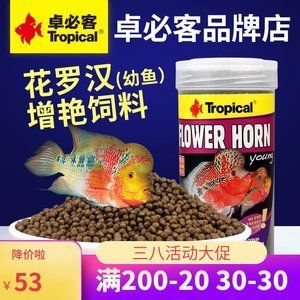 觀賞魚專用魚糧品牌推薦（如何選擇觀賞魚專用魚糧） 夢(mèng)幻雷龍魚 第4張